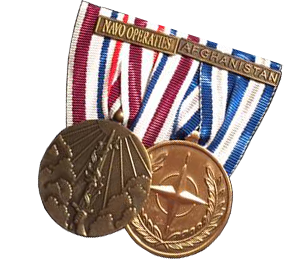 Voortman Onderscheidingen | Luchtmacht onderscheidingen