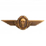 Voortman Onderscheidingen | Duitse Wing Fallschirmjäger