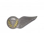 Voortman Onderscheidingen | Parawing Brevet Para-instructeur