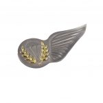 Voortman Onderscheidingen | Parawing Brevet Para-instructeur