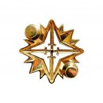 HDV speld Voortman Onderscheidingen