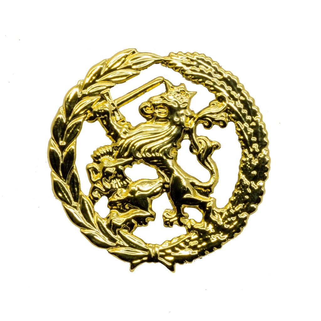 Individueel functie bekwaamheidsembleem