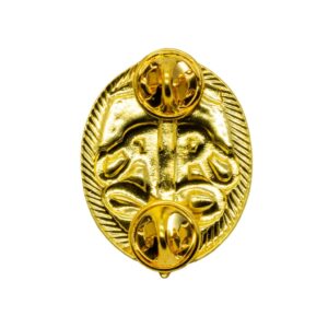 Instructeur werken op hoogte Voortman Onderscheidingen