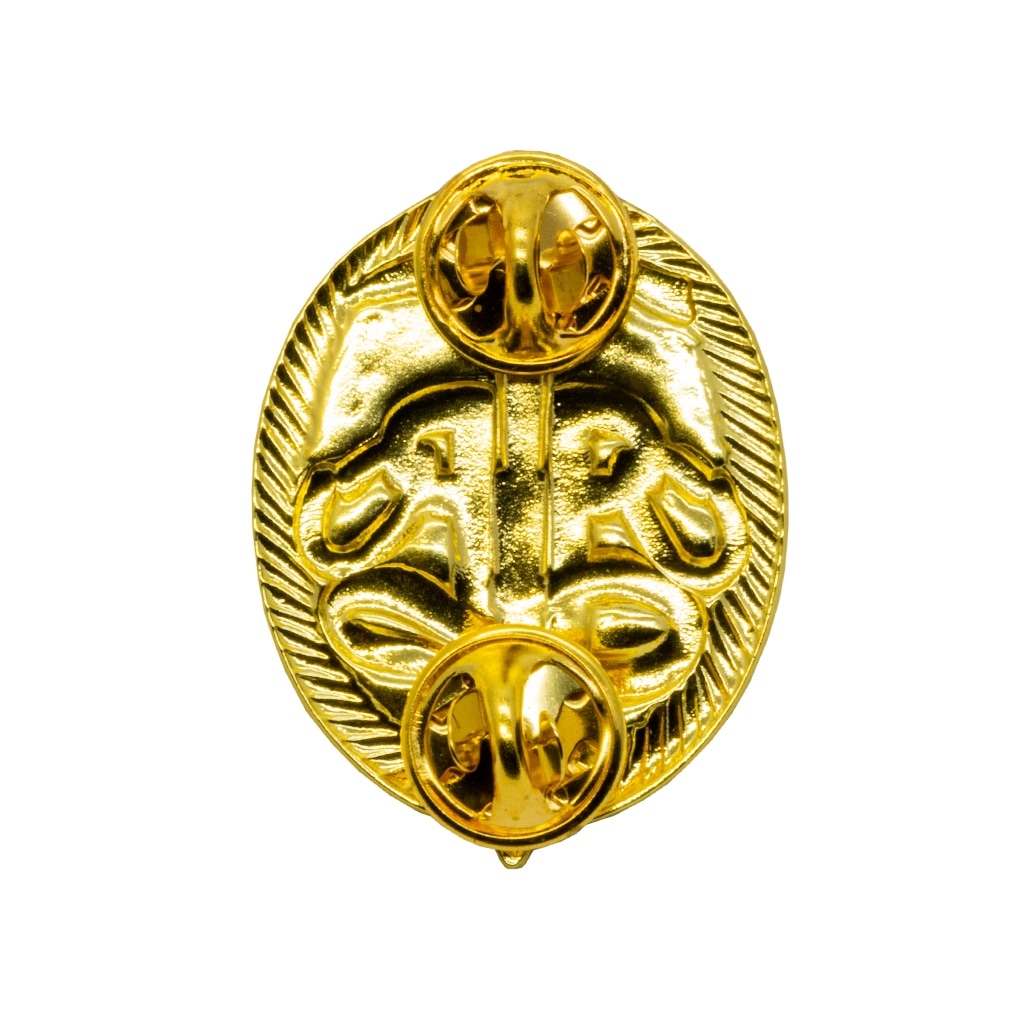 Instructeur werken op hoogte Voortman Onderscheidingen