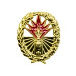 Vaardigheidsembleem algemene vuursteunsystemen