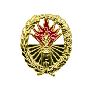 Vaardigheidsembleem algemene vuursteunsystemen