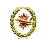 Vaardigheidsembleem luchtverdedigingssystemen