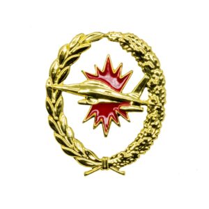 Vaardigheidsembleem luchtverdedigingssystemen