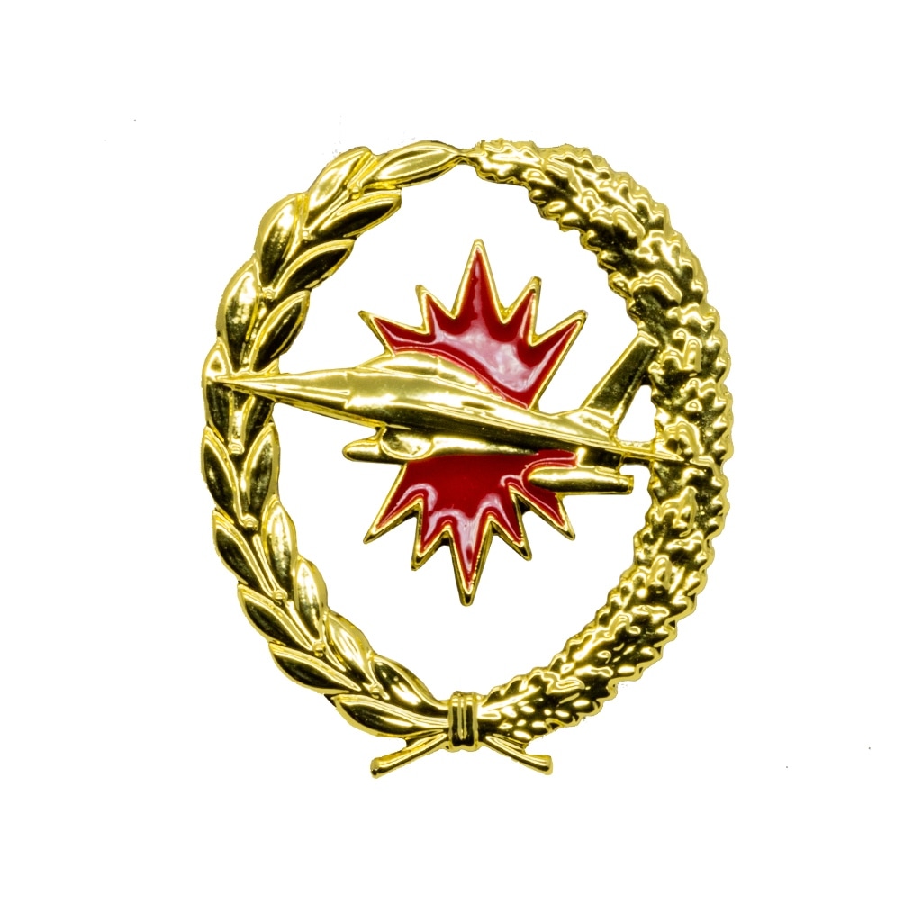 Vaardigheidsembleem luchtverdedigingssystemen